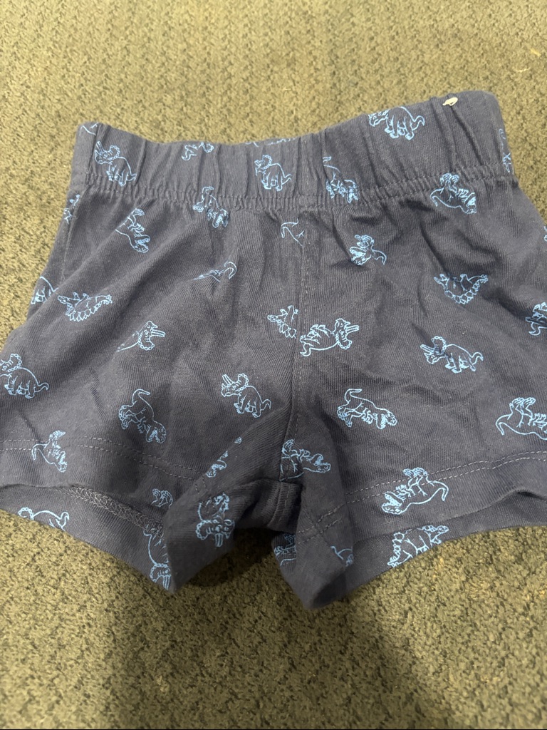 10/$10 - Navy Blue Boys' Dino Print Knit Shorts